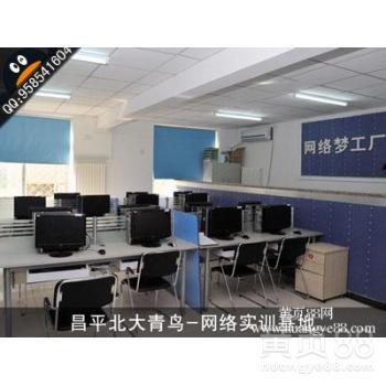 2013年计算机四级网络工程师备考渠道与北大青鸟课程对比解析